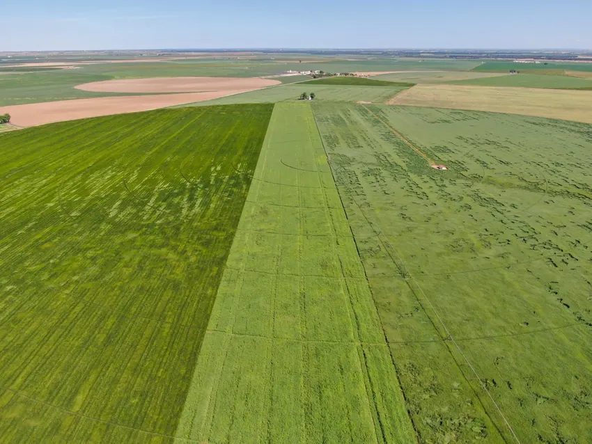 Parcelas de cultivo vistas desde el aire