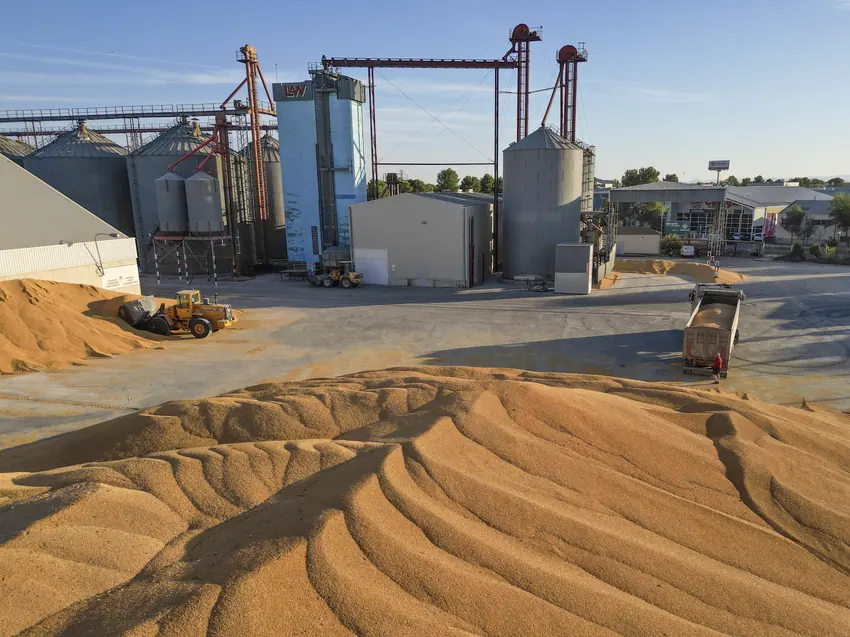 Recepción de cereal junto a los silos de Agraria San Antón