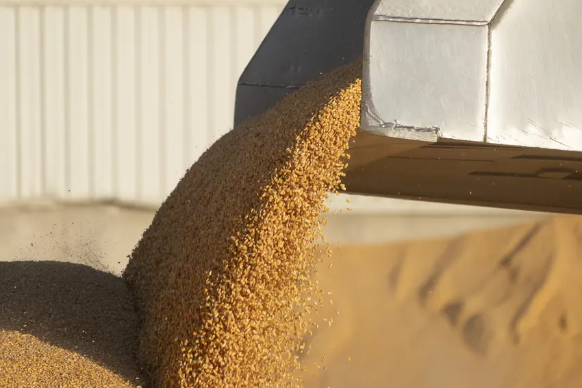 Trabajo agrícola junto a Agraria San Antón
