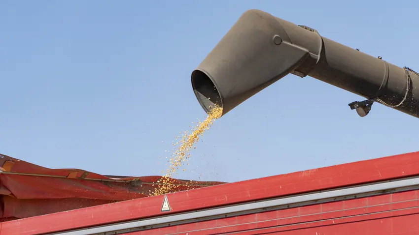 Descarga de grano desde la cosechadora
