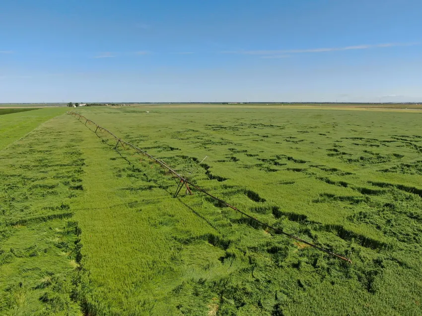 Parcela de cultivo en el entorno de Agraria San Antón